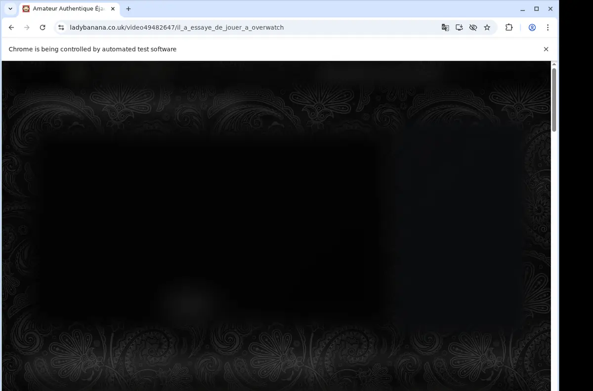 Ladybanana Video Downloader screenshot 2
