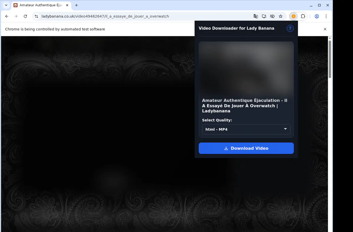 Ladybanana Video Downloader screenshot 3
