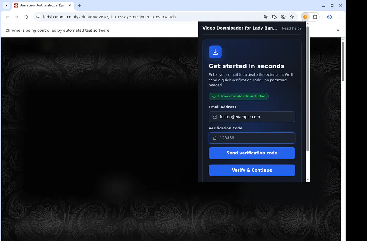 Ladybanana Video Downloader screenshot 4