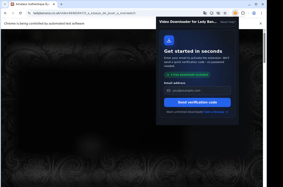 Ladybanana Video Downloader screenshot 5